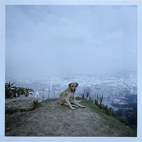 Alec Soth 